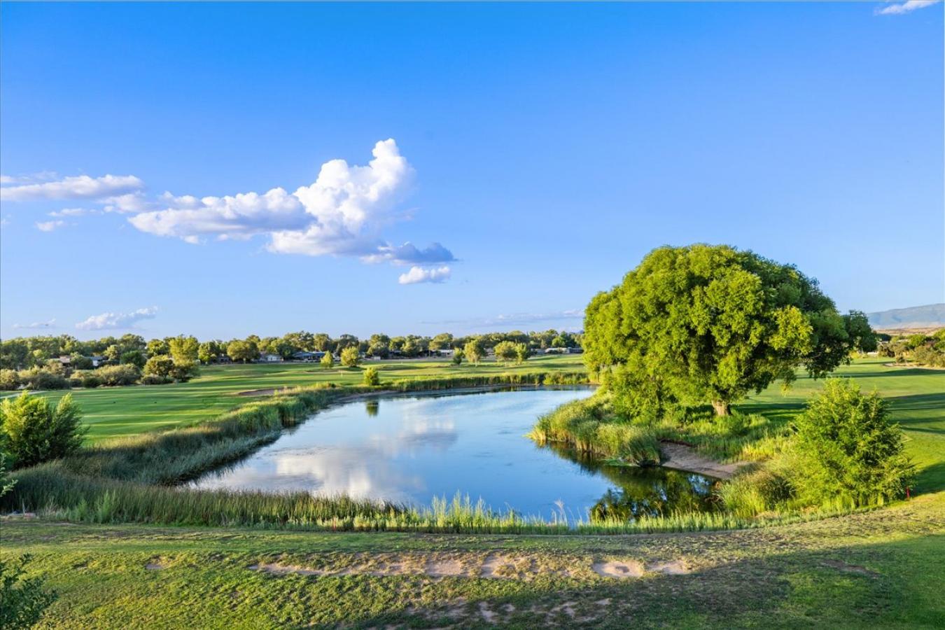 Prescott, Yavapai, 86301, United States, 3 Bedrooms Bedrooms, ,2 BathroomsBathrooms,Residential,For Sale,1909762