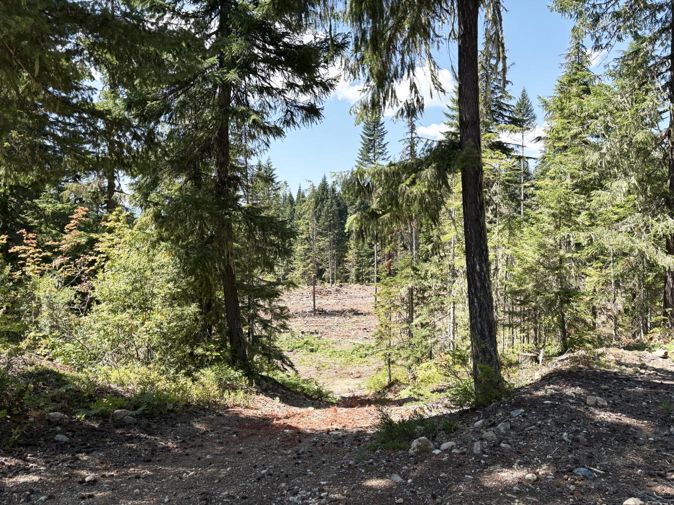 Easton, Kittitas, 98925, United States, 4 Bedrooms Bedrooms, ,4 BathroomsBathrooms,Residential,For Sale,1912966