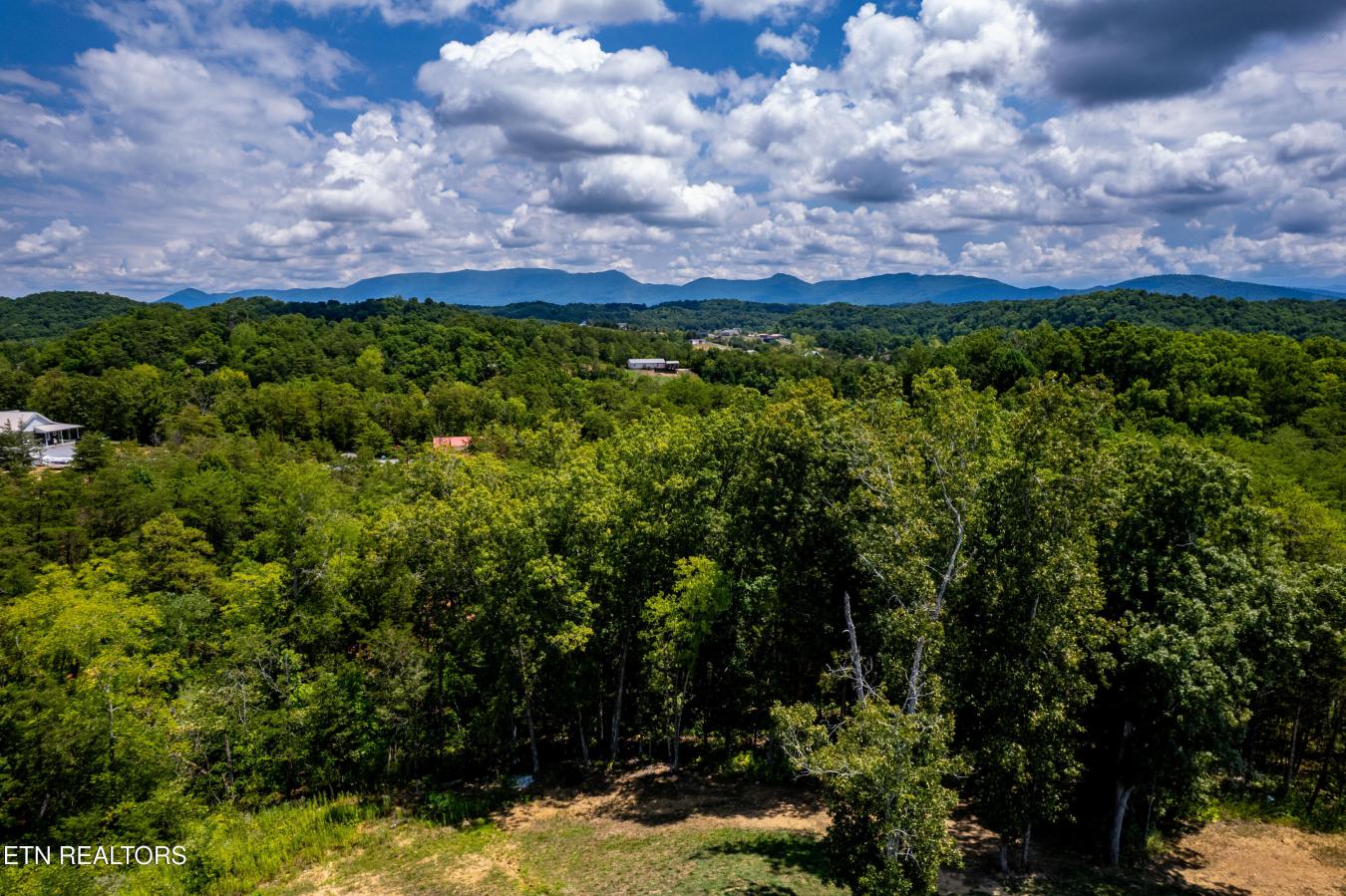 Sevierville, Jefferson County - 26, 37876, United States, 5 Bedrooms Bedrooms, ,3 BathroomsBathrooms,Residential,For Sale,1912928