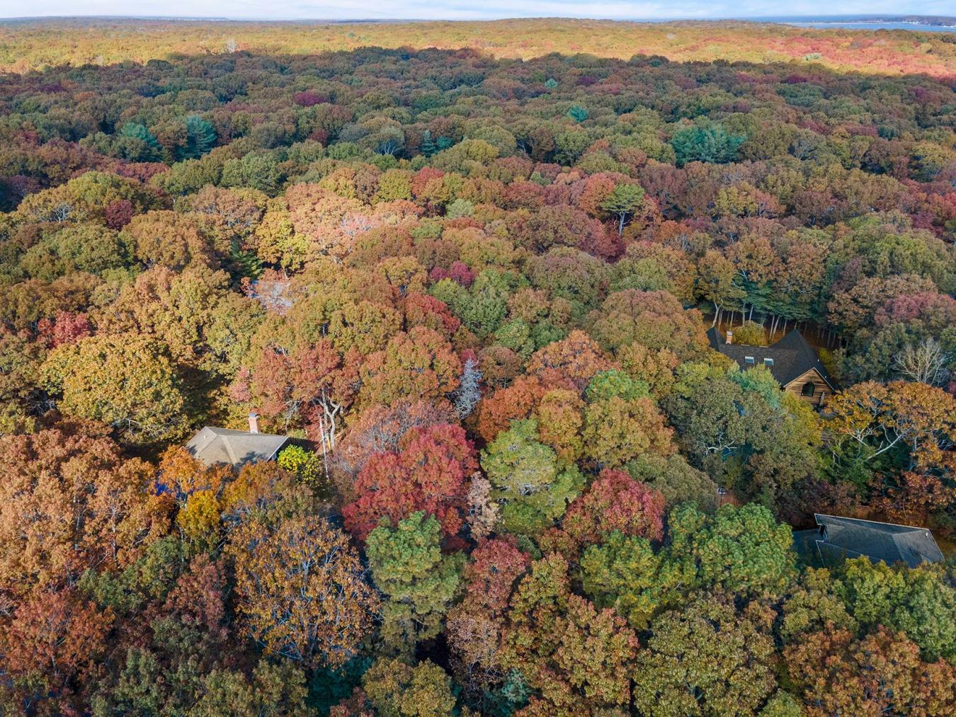 East Hampton, New York, 11937, United States, ,Residential,For Sale,1995228