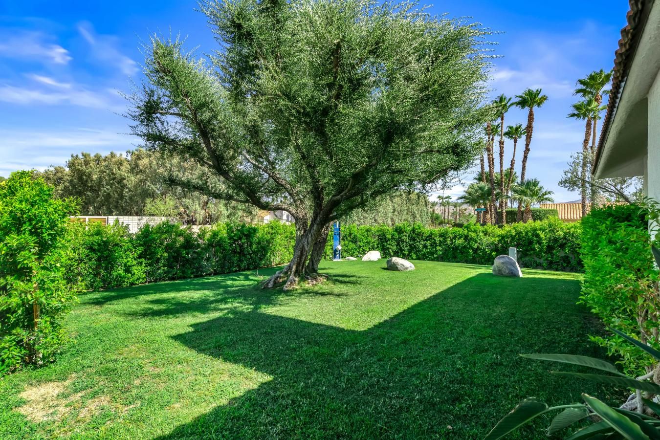 Palm Springs, California, 92262, United States, 2 Bedrooms Bedrooms, ,1 BathroomBathrooms,Residential,For Sale,1919244