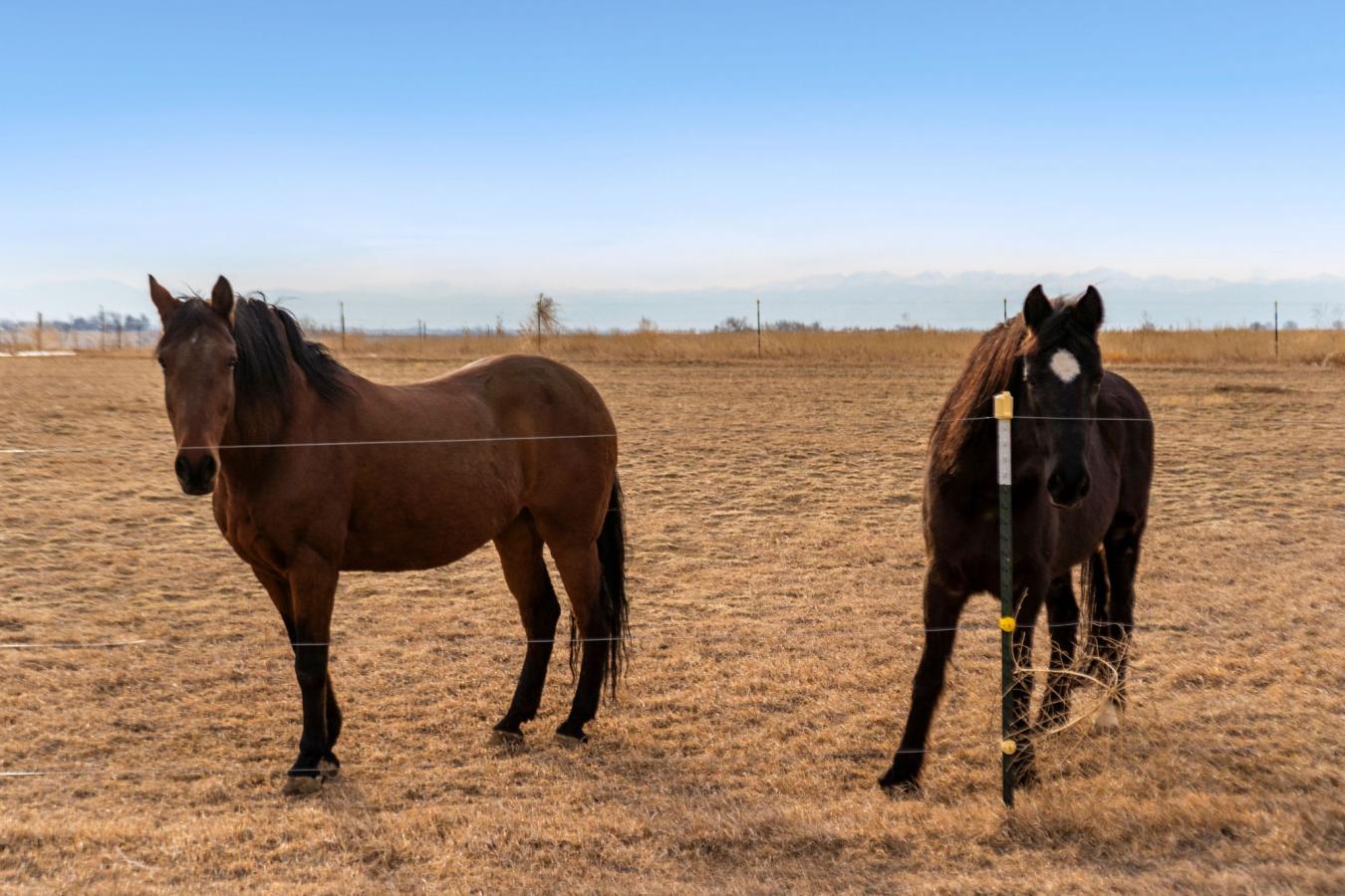 Country Living at Its Finest! This sprawling 19.71 Acres has two perfe – image 6