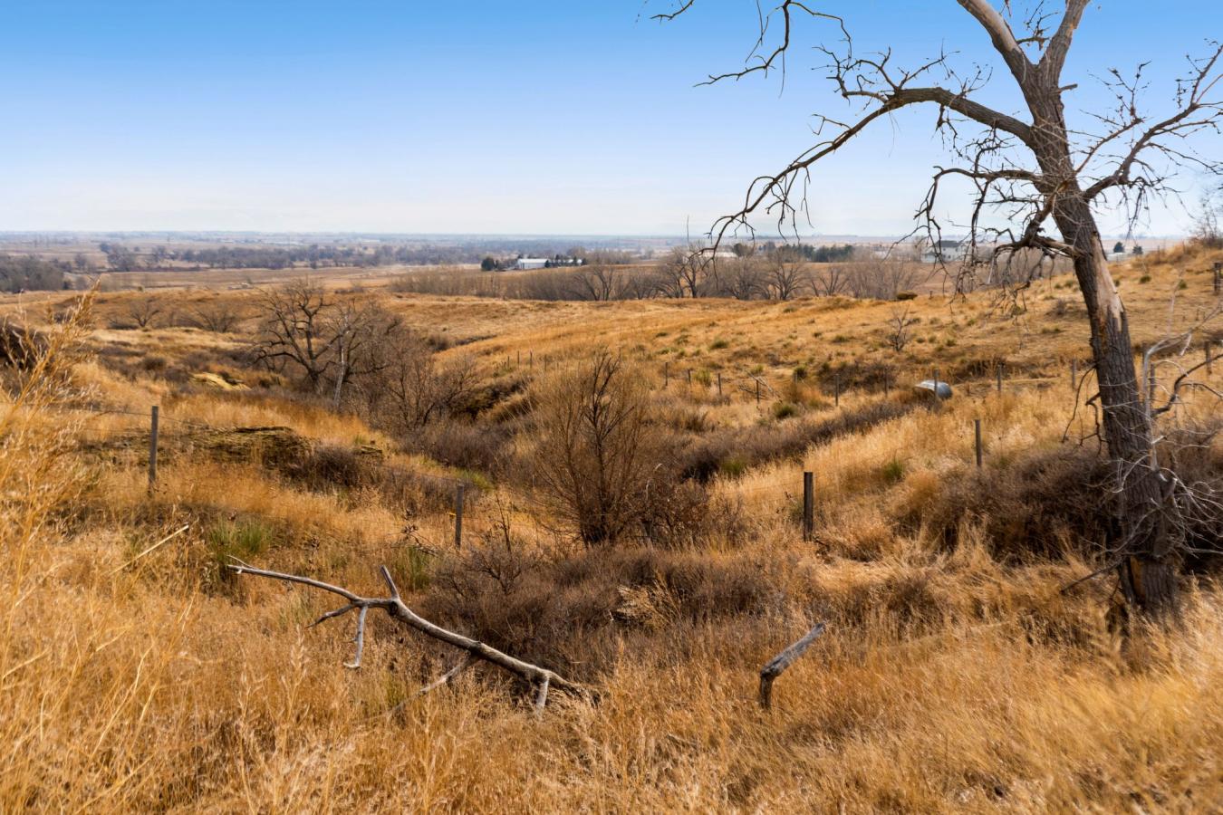 Country Living at Its Finest! This sprawling 19.71 Acres has two perfe – image 7