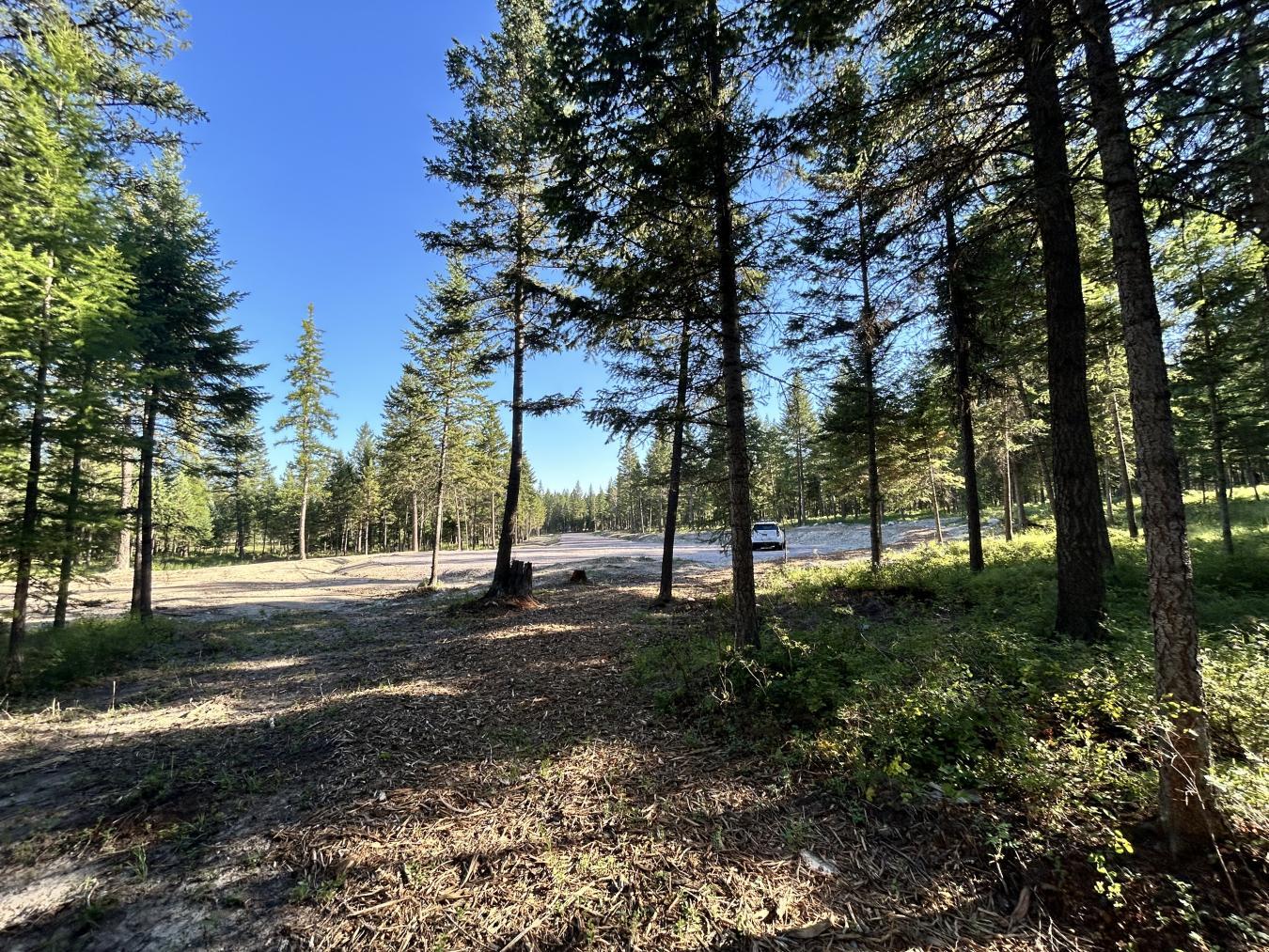 Whitefish, Montana, 59937, United States, ,Residential,For Sale,1927592