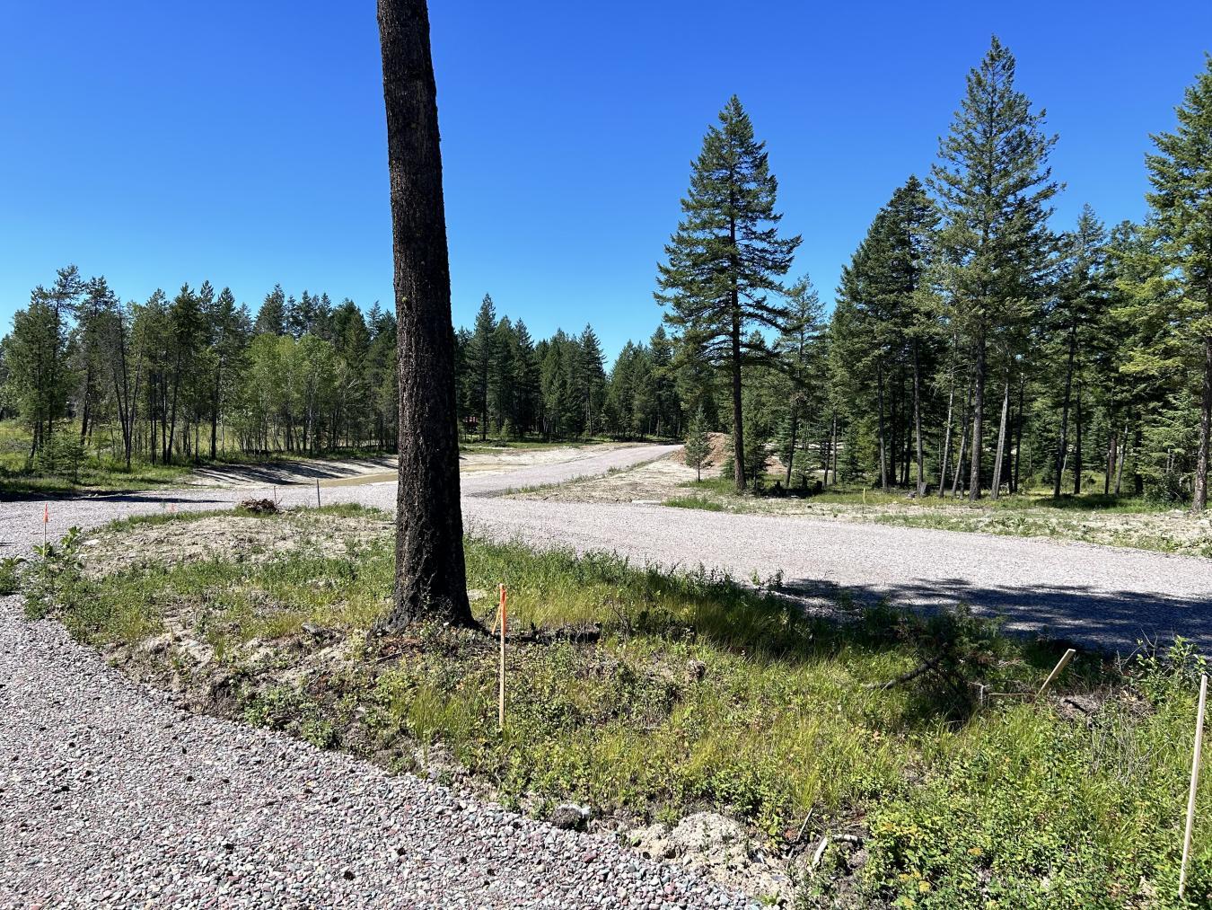 Whitefish, Montana, 59937, United States, ,Residential,For Sale,1927592