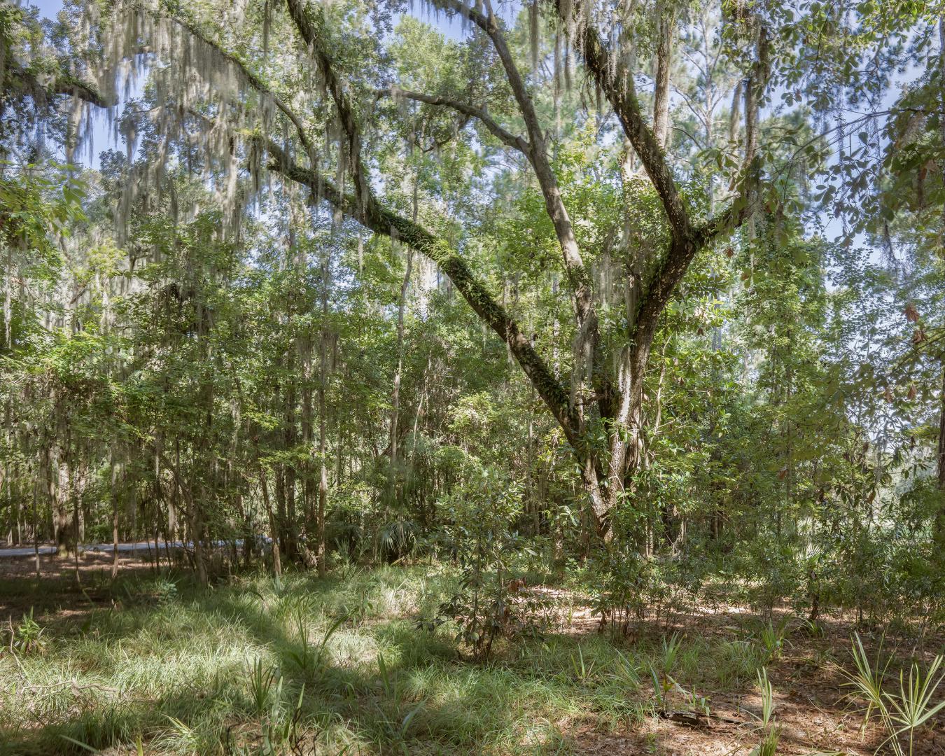 Bluffton, Beaufort, 29910, United States, ,Residential,For Sale,1929540