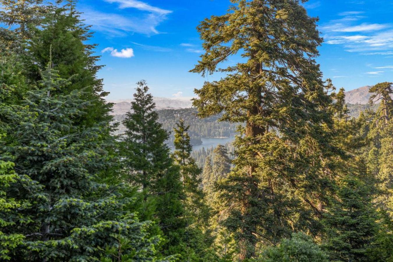 Lake Arrowhead, San Bernardino, 92352, United States, 5 Bedrooms Bedrooms, ,-2 BathroomBathrooms,Residential,For Sale,1929528