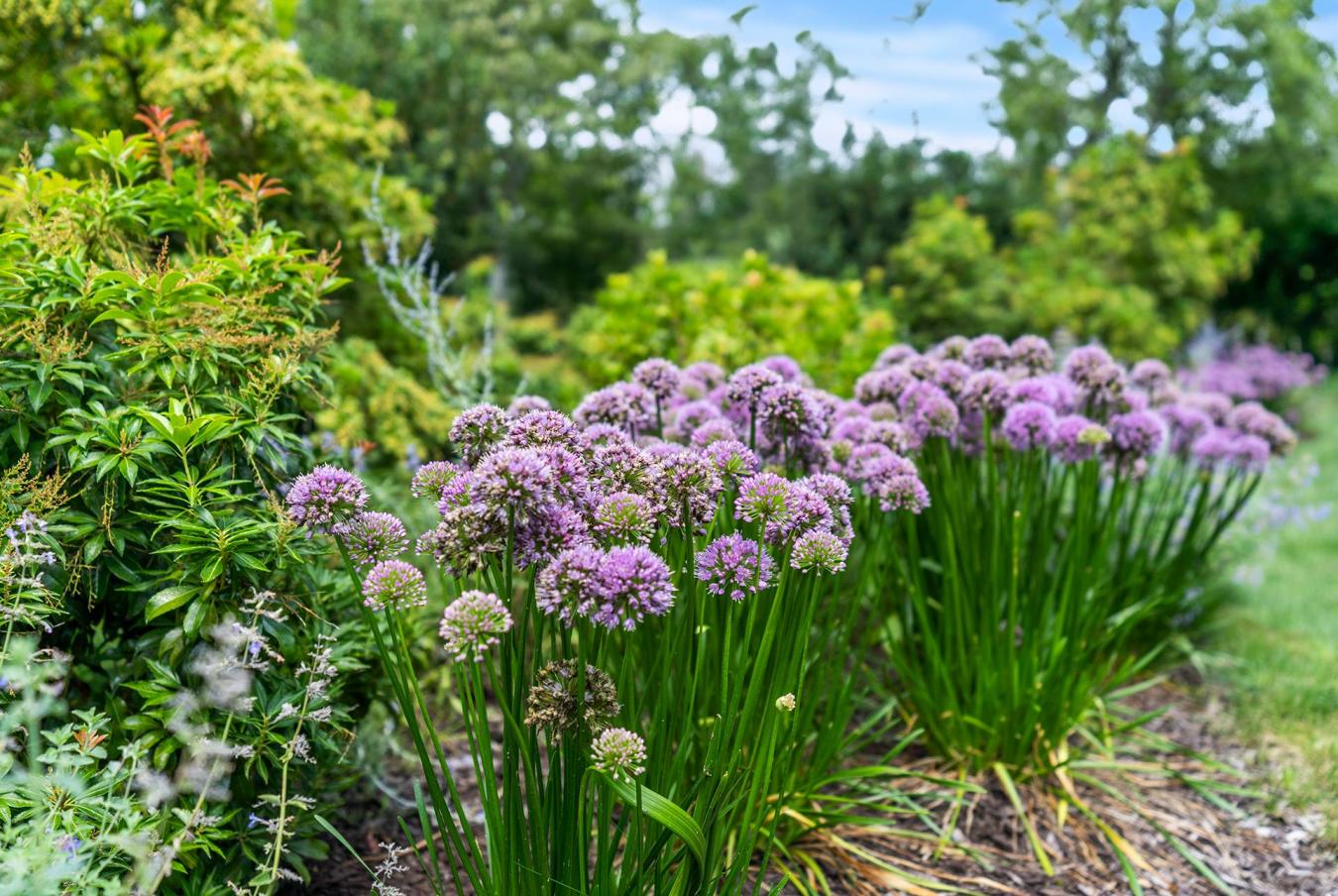 East Hampton, New York, 11937, United States, 3 Bedrooms Bedrooms, ,2 BathroomsBathrooms,Residential,For Sale,1929862
