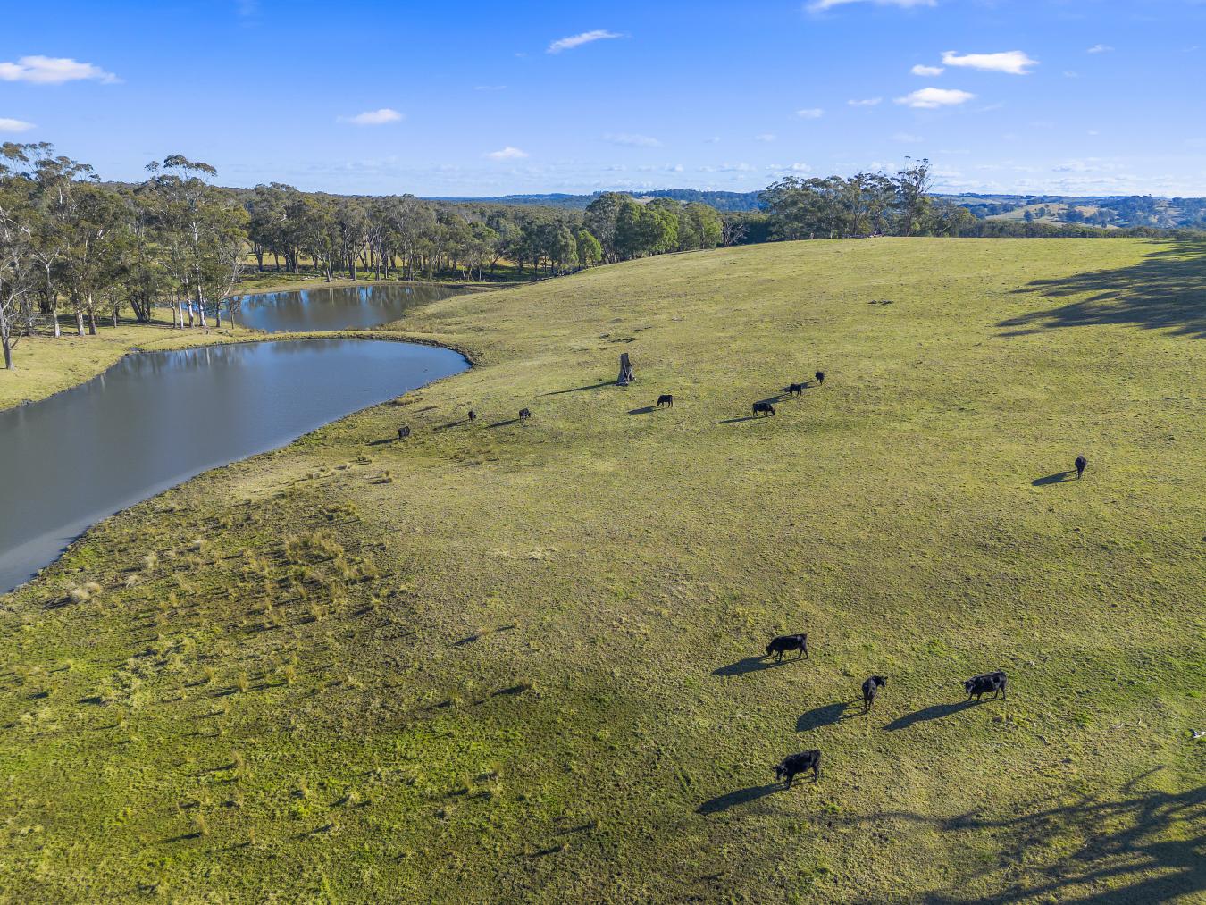 Southern Highlands, NSW, 2577, Australia, 7 Bedrooms Bedrooms, ,6 BathroomsBathrooms,Residential,For Sale,1933790