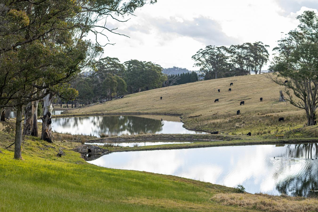Southern Highlands, NSW, 2577, Australia, 7 Bedrooms Bedrooms, ,6 BathroomsBathrooms,Residential,For Sale,1933790
