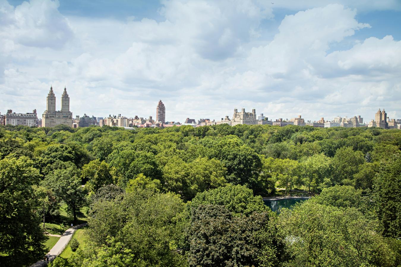 New York, New York, 10021, United States, 5 Bedrooms Bedrooms, ,4 BathroomsBathrooms,Residential,For Sale,1936663