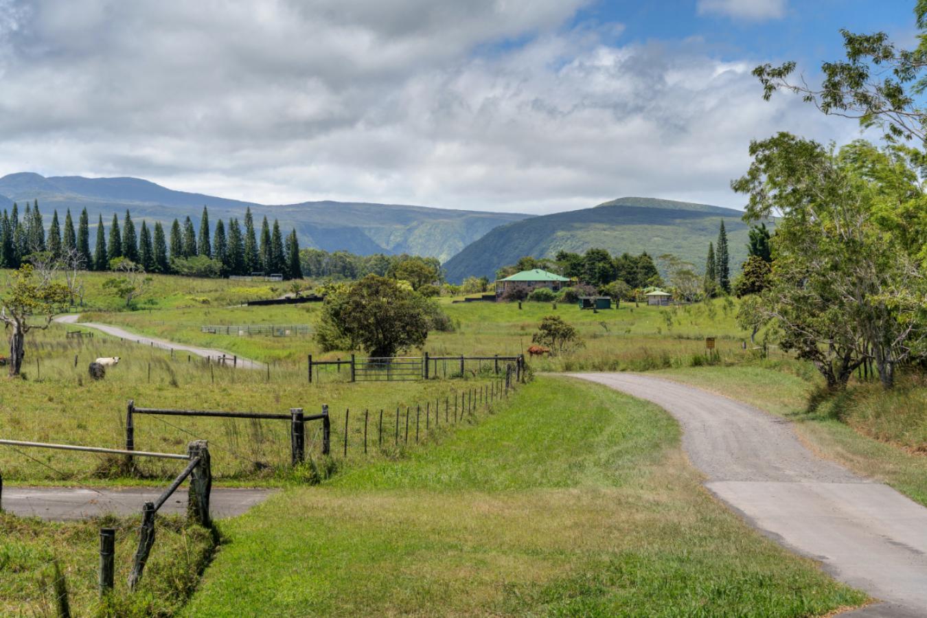 Honokaa, Hawaii, 96727, United States, 2 Bedrooms Bedrooms, ,2 BathroomsBathrooms,Residential,For Sale,1945175