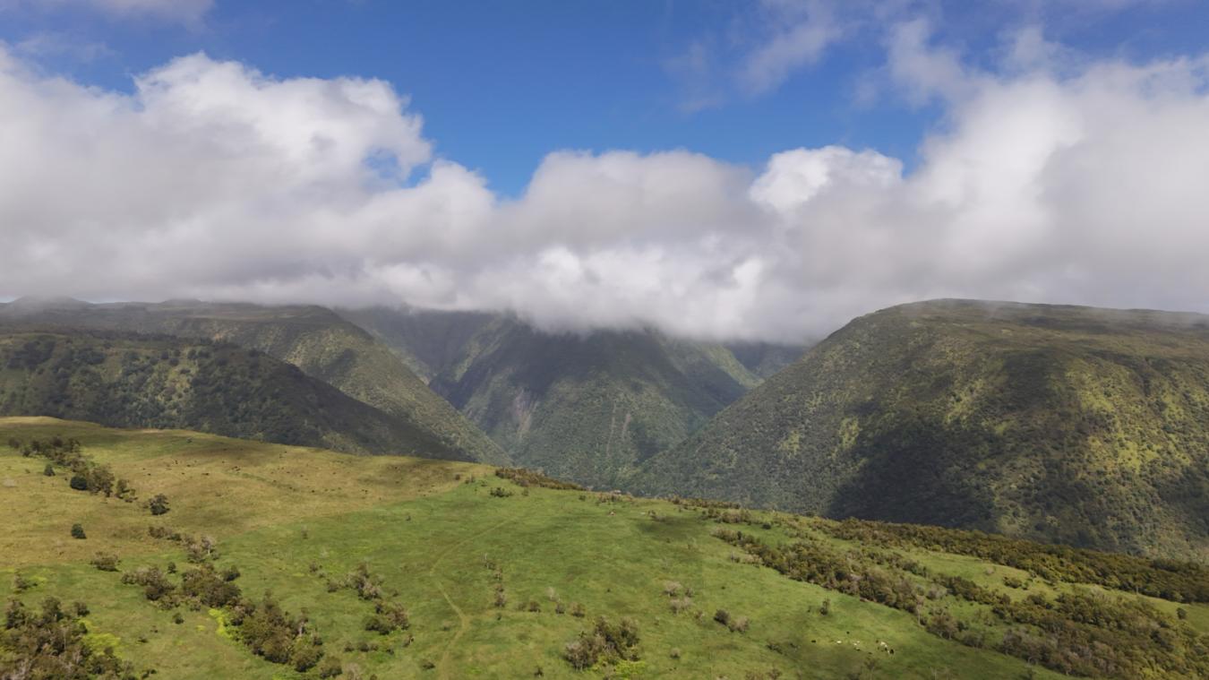 Honokaa, Hawaii, 96727, United States, ,Residential,For Sale,1945156 Honokaa, Hawaii, 96727, United States, ,Residential,For Sale,1945156