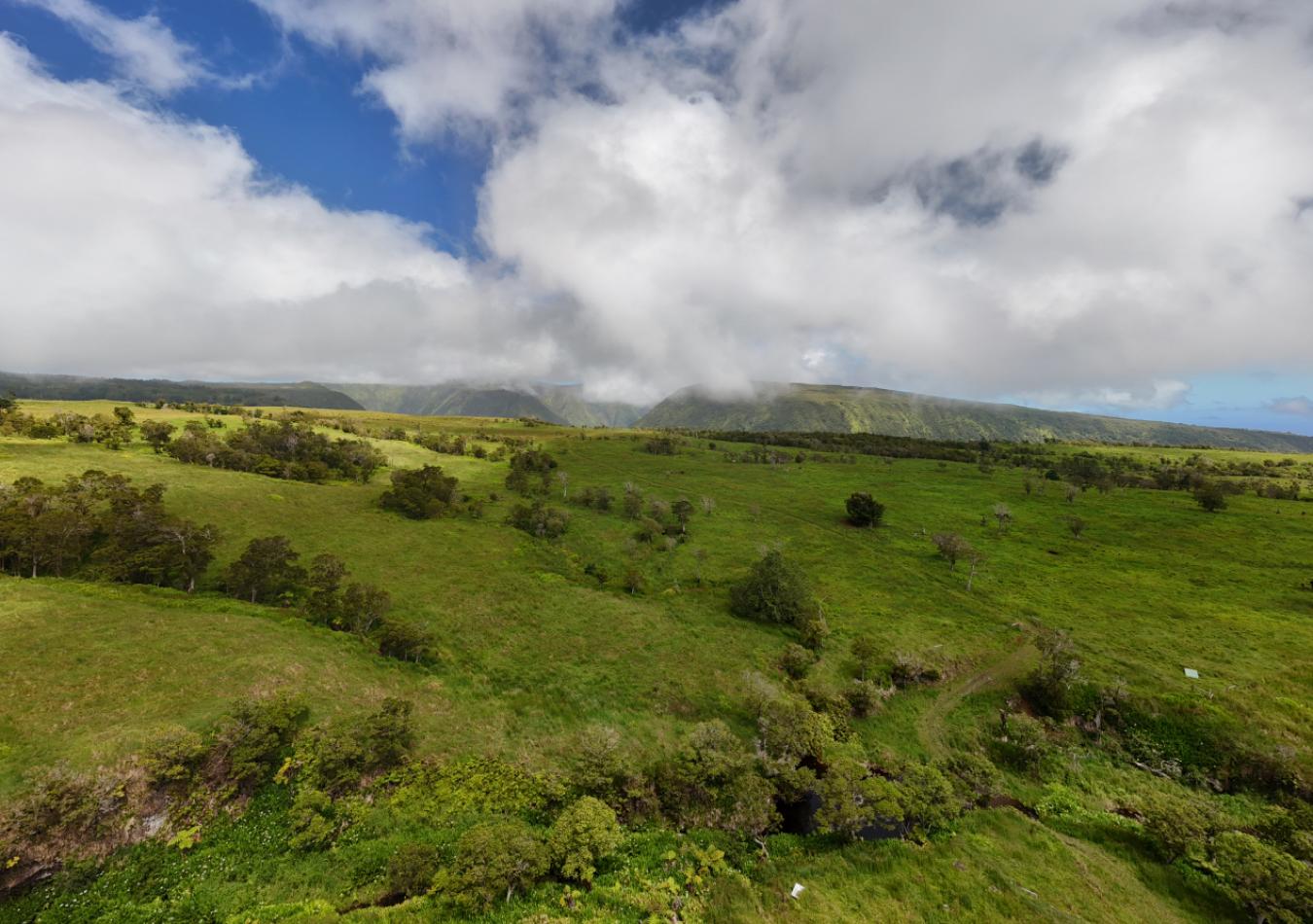 Honokaa, Hawaii, 96727, United States, ,Residential,For Sale,1945156