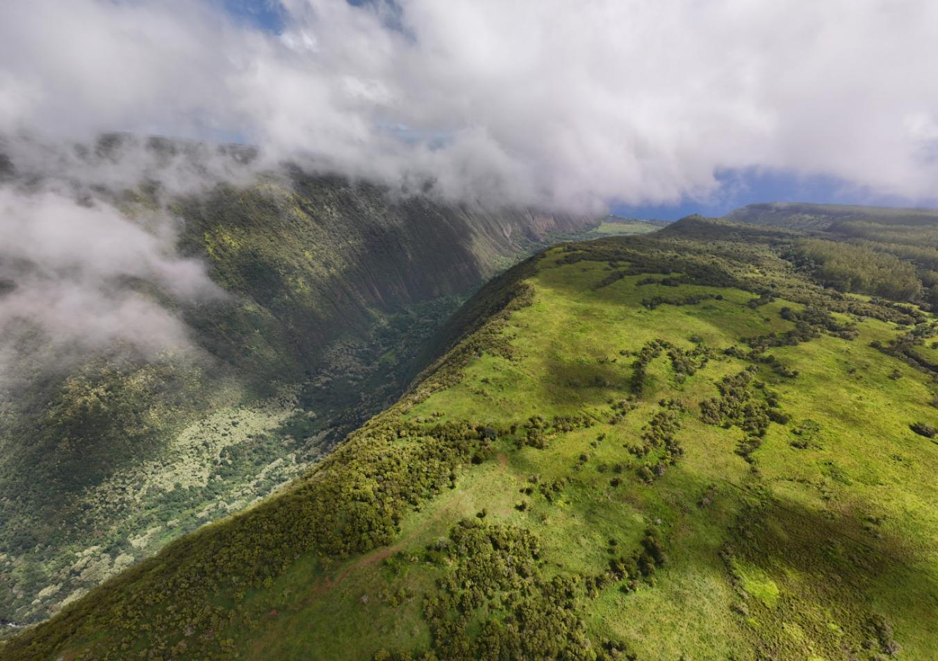 Honokaa, Hawaii, 96727, United States, ,Residential,For Sale,1945156