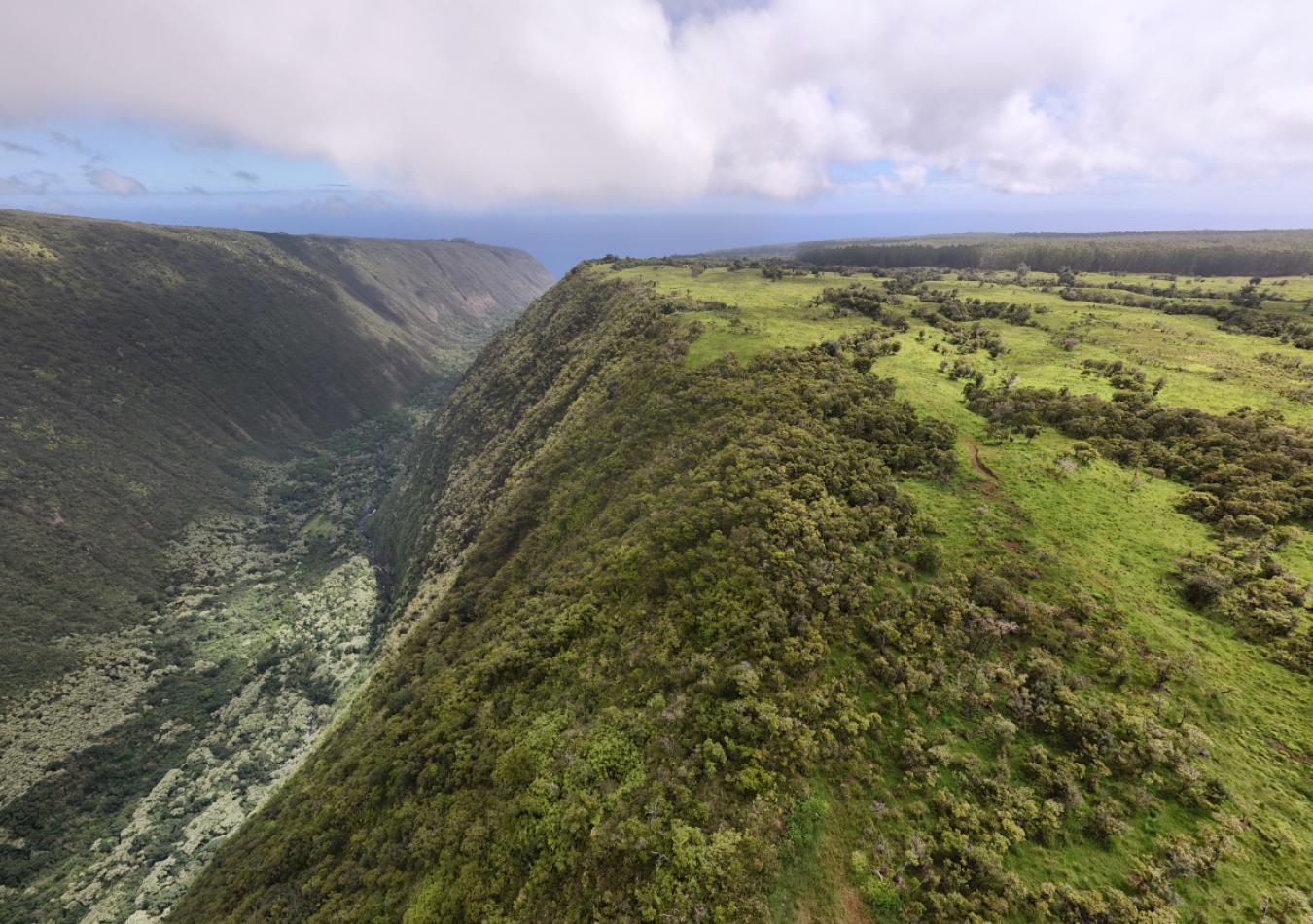 Honokaa, Hawaii, 96727, United States, ,Residential,For Sale,1945156