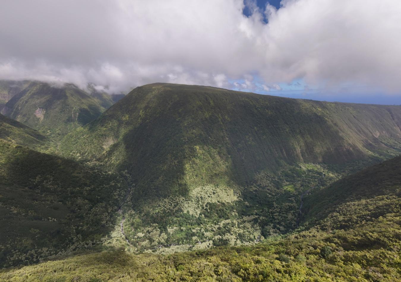 Honokaa, Hawaii, 96727, United States, ,Residential,For Sale,1945156