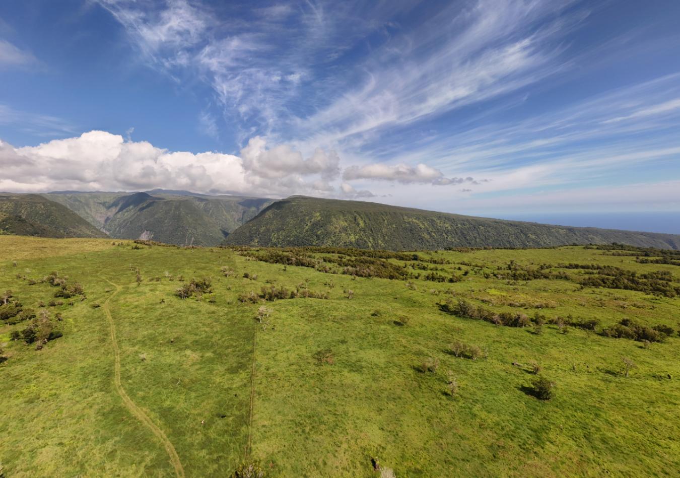 Honokaa, Hawaii, 96727, United States, ,Residential,For Sale,1945156