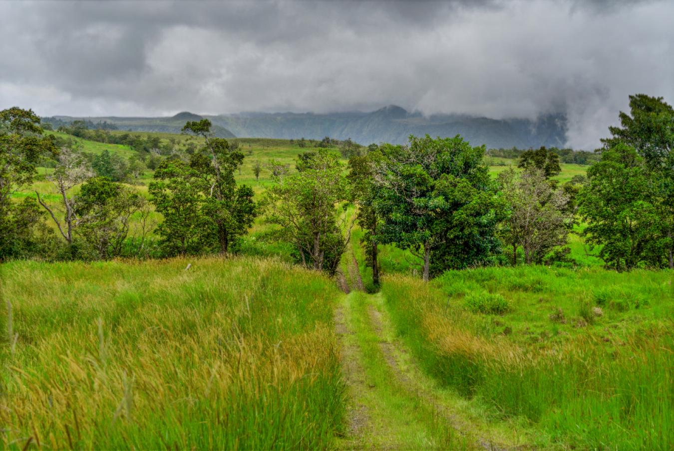 Honokaa, Hawaii, 96727, United States, ,Residential,For Sale,1945156