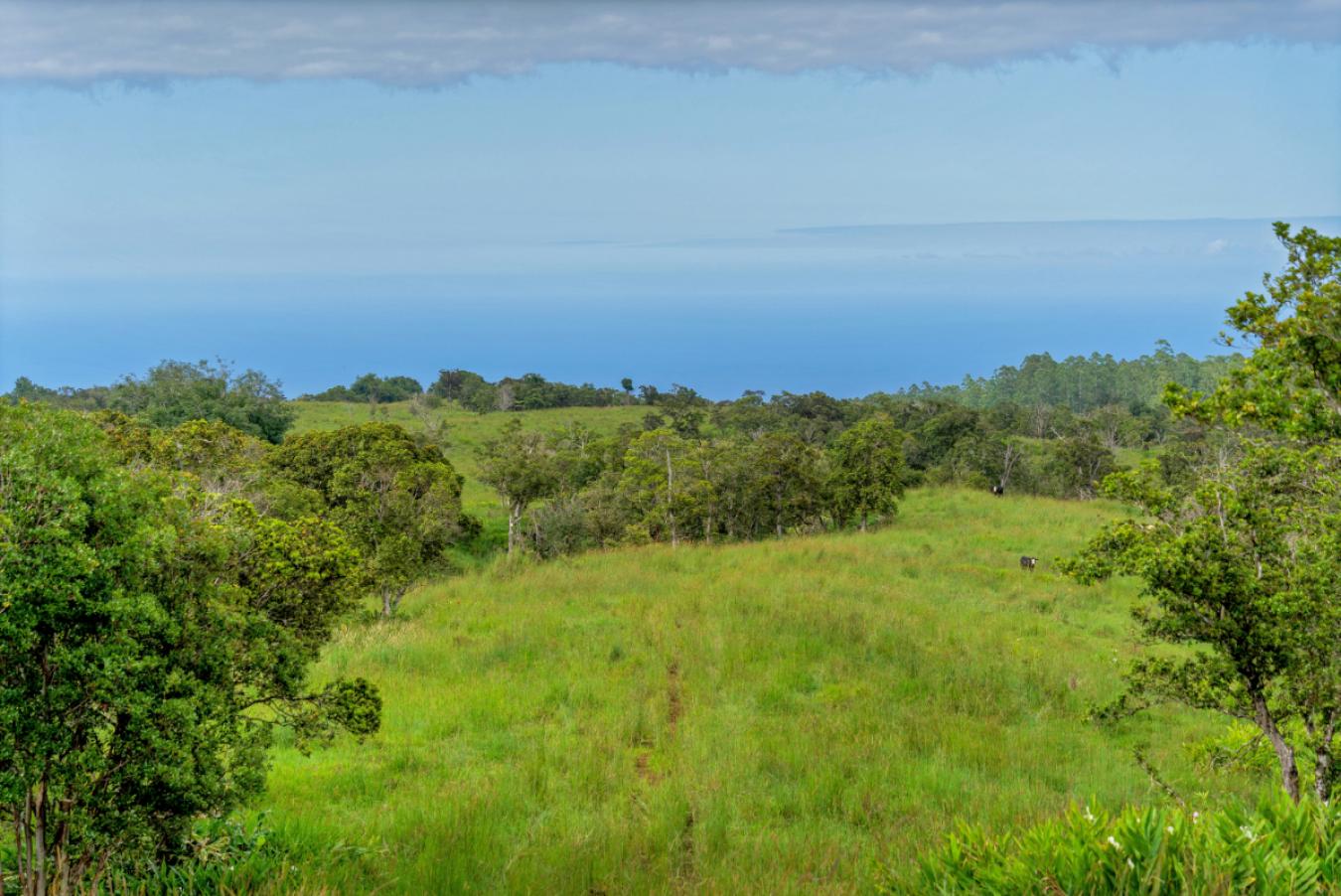 Honokaa, Hawaii, 96727, United States, ,Residential,For Sale,1945156