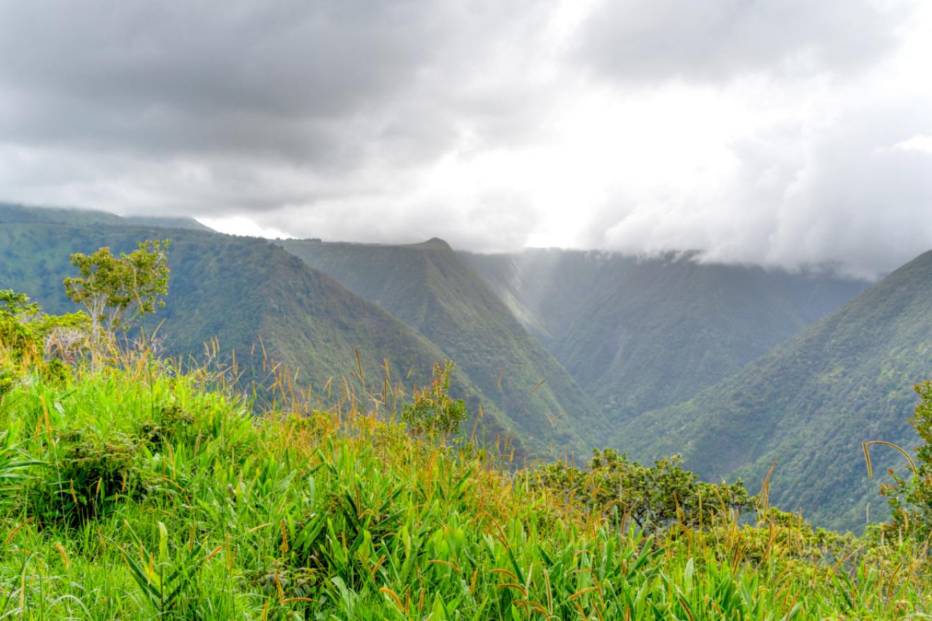 Honokaa, Hawaii, 96727, United States, ,Residential,For Sale,1945156