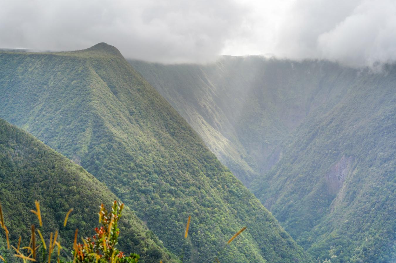 Honokaa, Hawaii, 96727, United States, ,Residential,For Sale,1945156