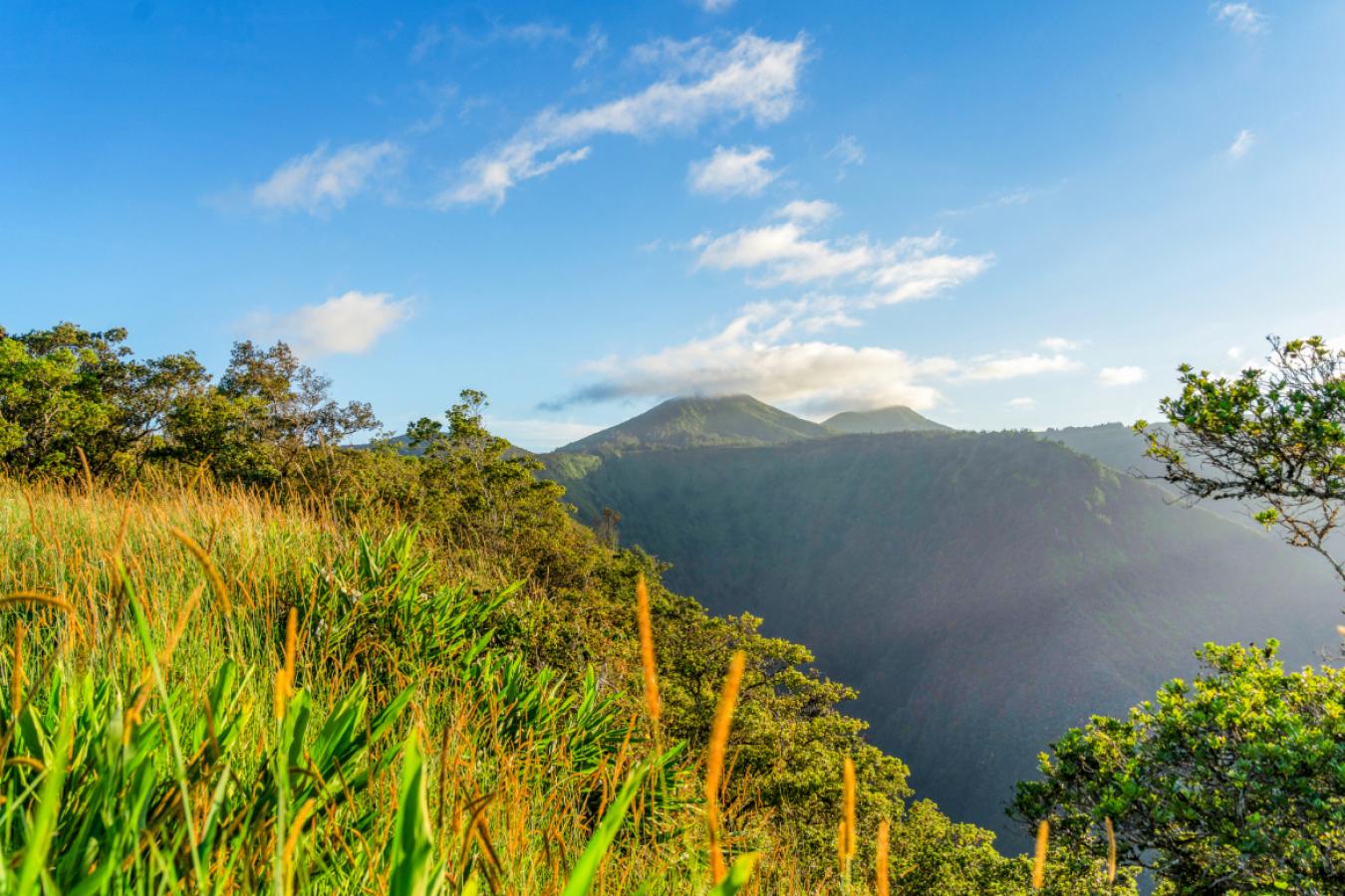 Honokaa, Hawaii, 96727, United States, ,Residential,For Sale,1945156