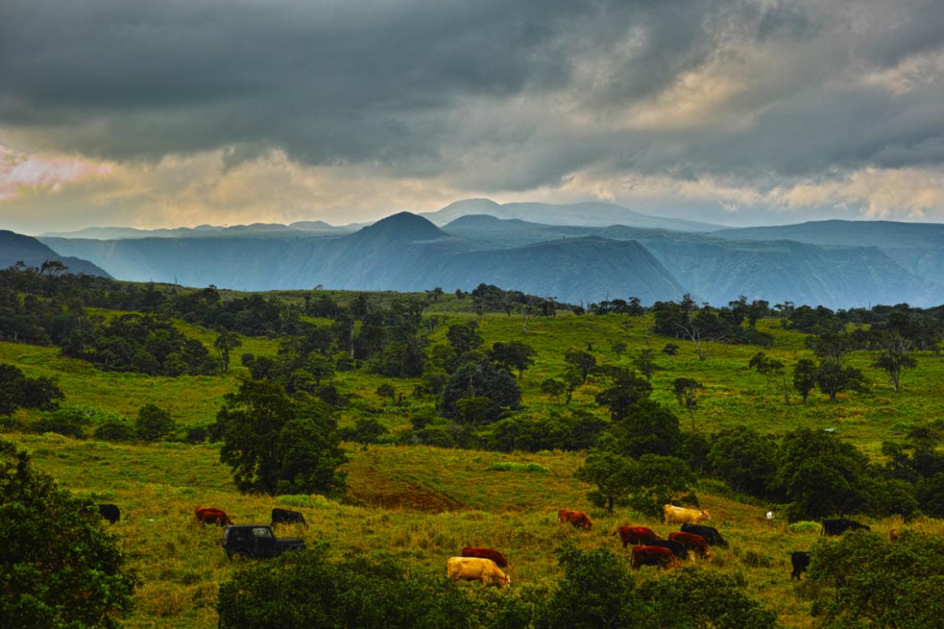 Honokaa, Hawaii, 96727, United States, ,Residential,For Sale,1945156