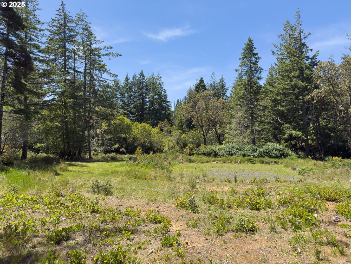 Bandon, Coos, 97411, United States, ,Residential,For Sale,1945285