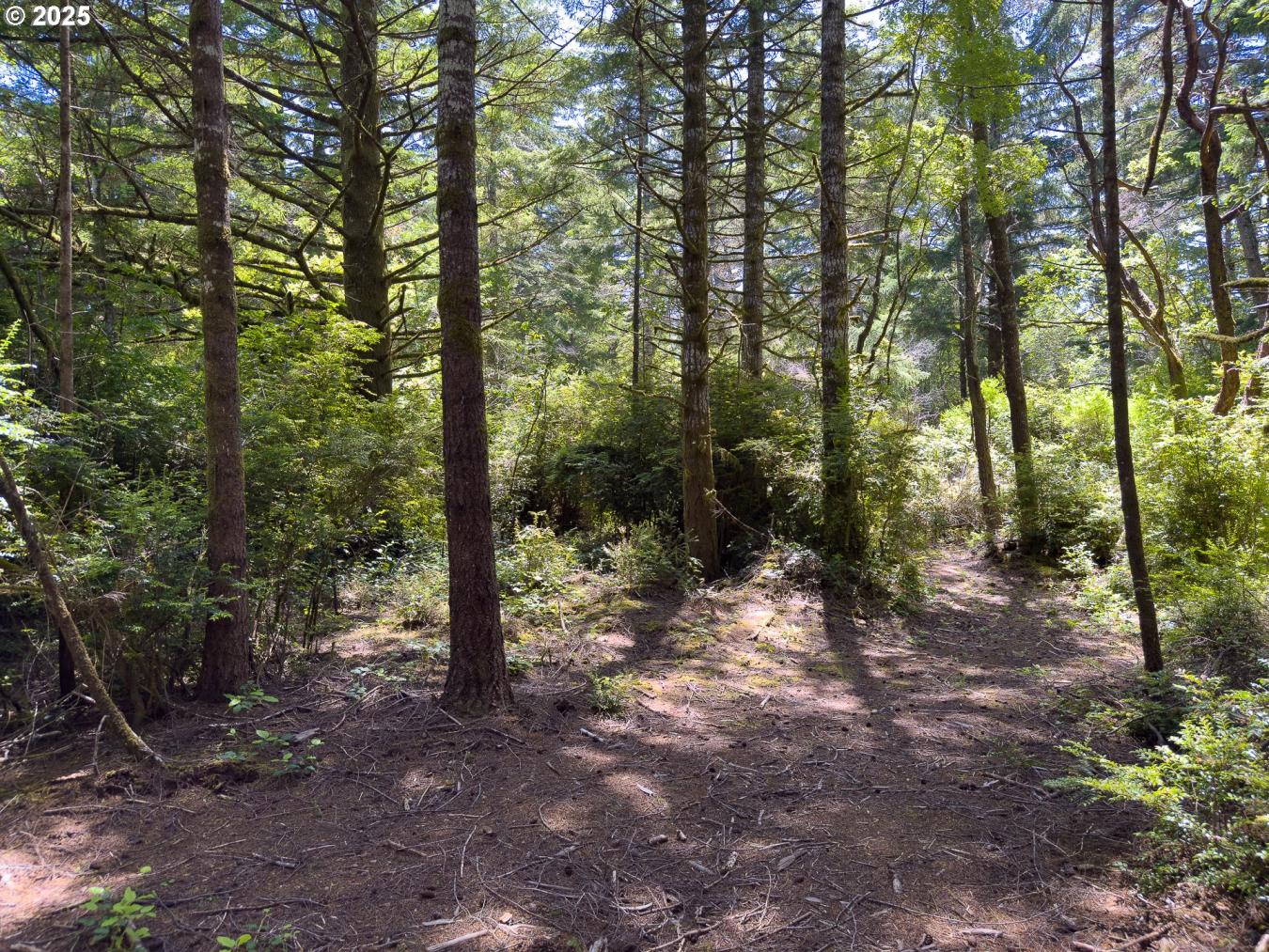 Bandon, Coos, 97411, United States, ,Residential,For Sale,1945285