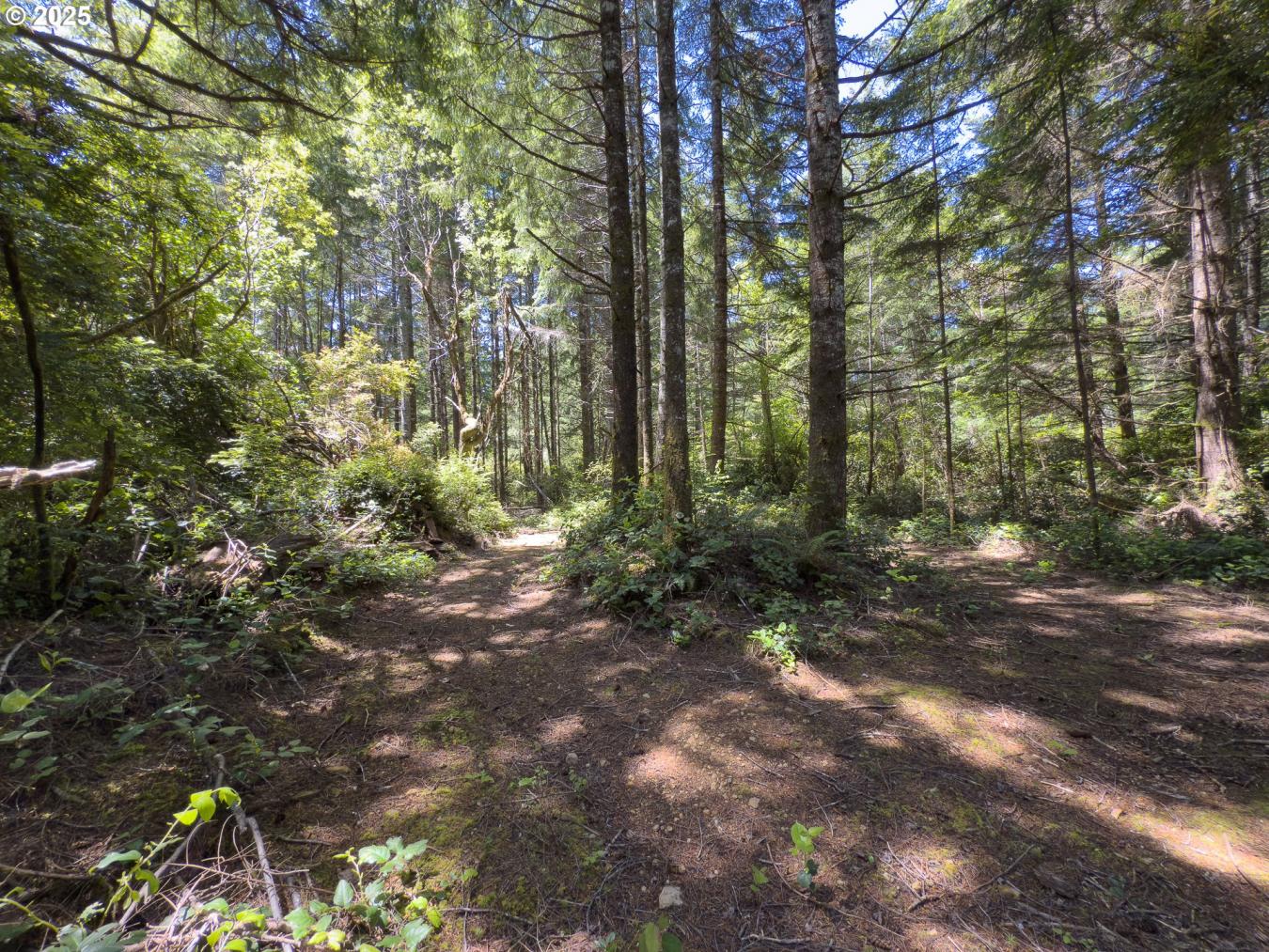 Bandon, Coos, 97411, United States, ,Residential,For Sale,1945285