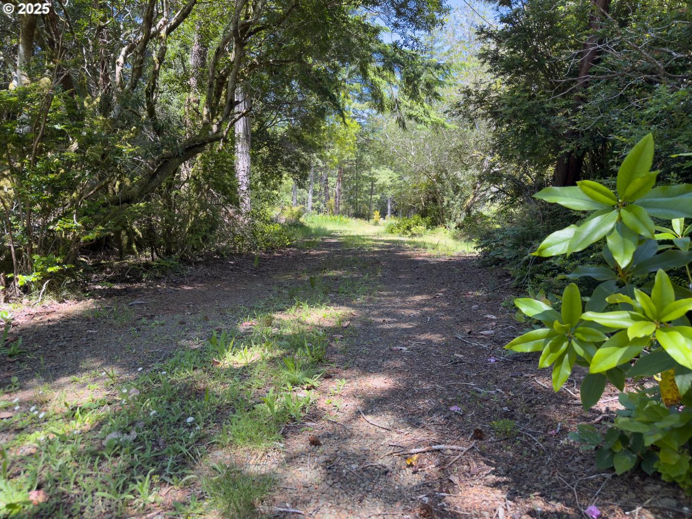 Bandon, Coos, 97411, United States, ,Residential,For Sale,1945285