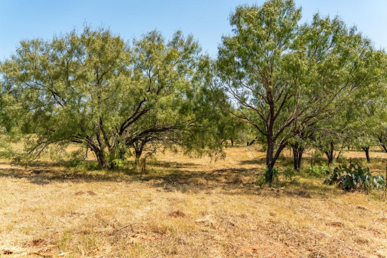 Fredericksburg, Gillespie, 78624, United States, ,Residential,For Sale,1945677