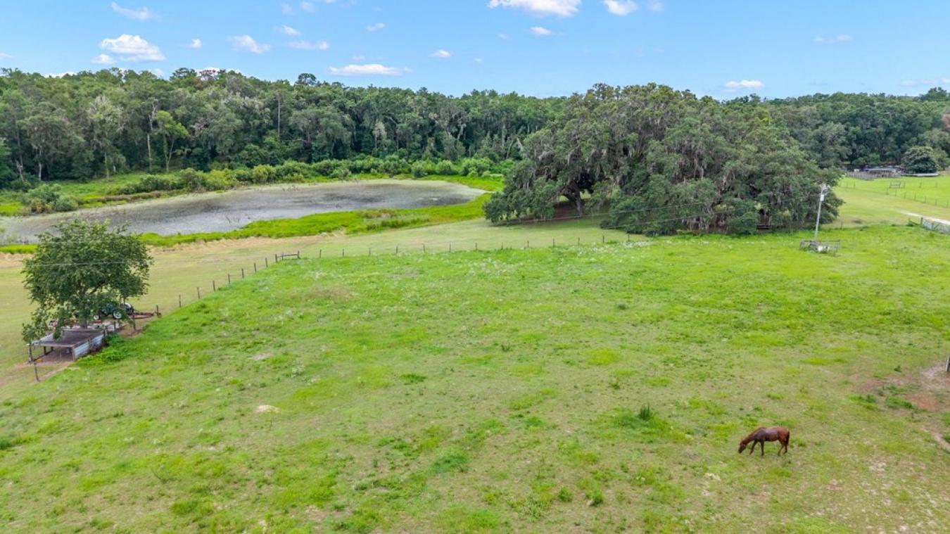 Morriston, Levy, 32668, United States, 5 Bedrooms Bedrooms, ,2 BathroomsBathrooms,Residential,For Sale,1952383