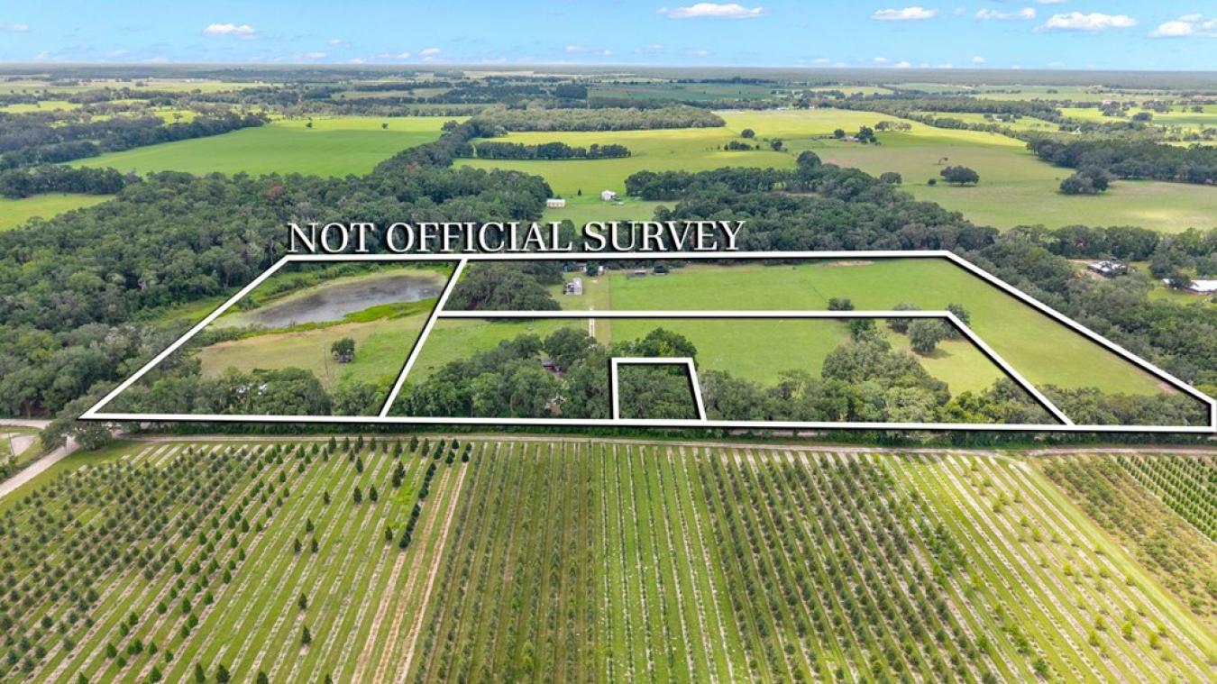 Morriston, Levy, 32668, United States, 5 Bedrooms Bedrooms, ,2 BathroomsBathrooms,Residential,For Sale,1952383