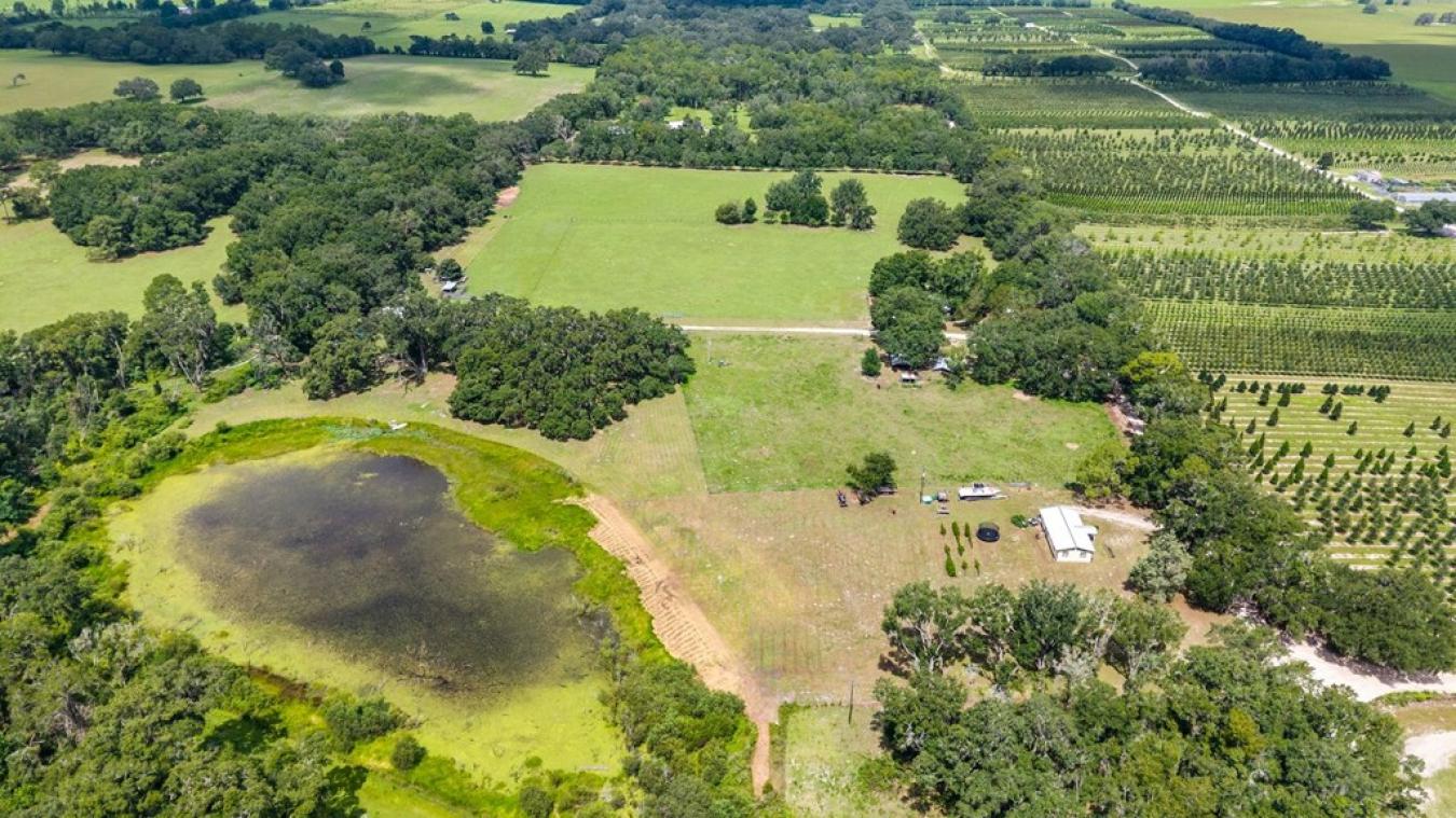 Morriston, Levy, 32668, United States, 5 Bedrooms Bedrooms, ,2 BathroomsBathrooms,Residential,For Sale,1952383