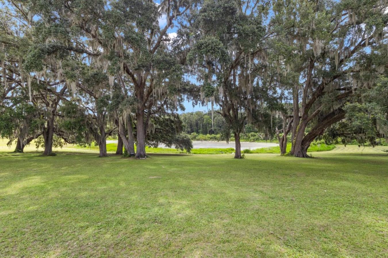 Morriston, Levy, 32668, United States, 5 Bedrooms Bedrooms, ,2 BathroomsBathrooms,Residential,For Sale,1952383