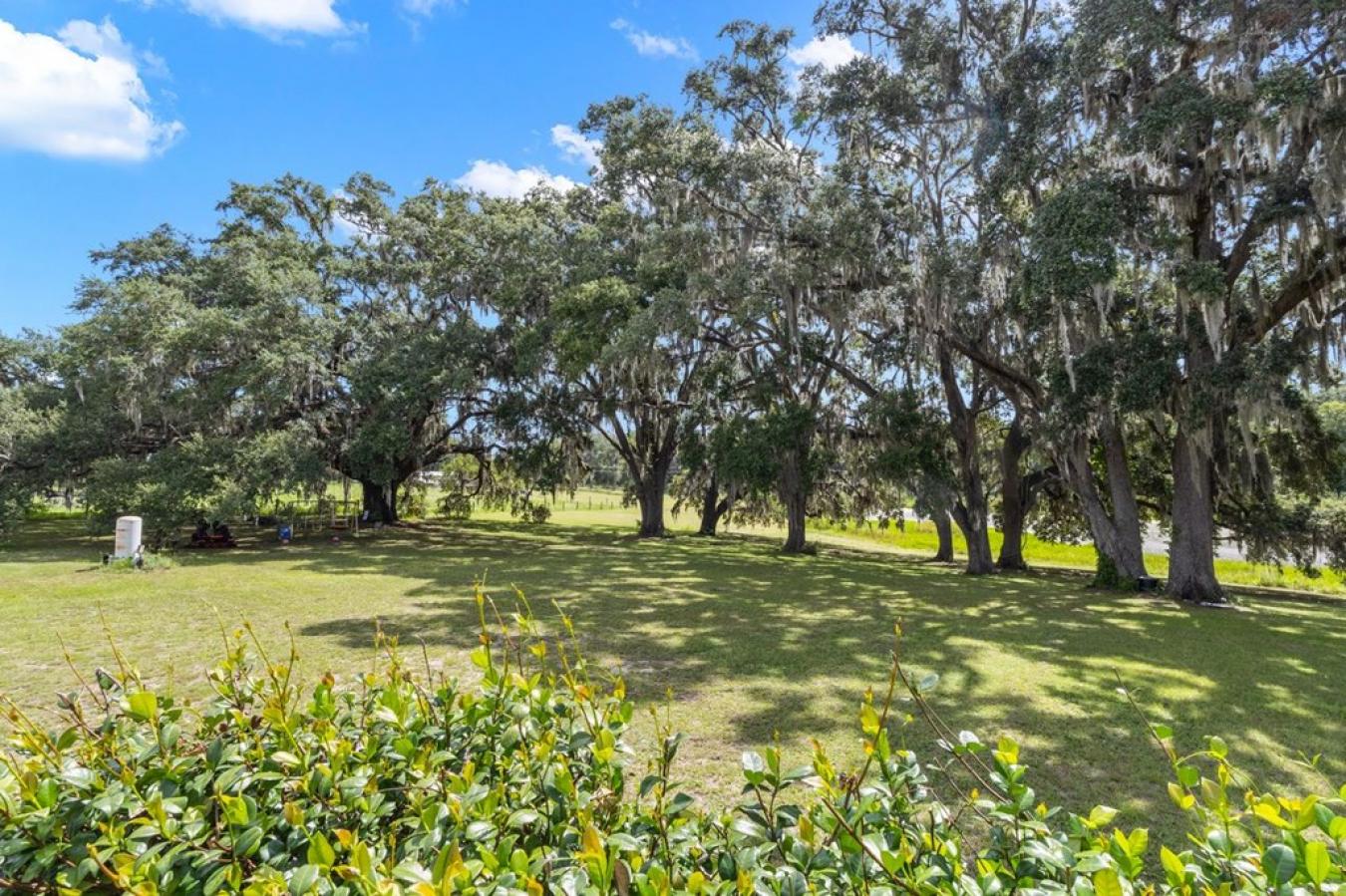 Morriston, Levy, 32668, United States, 5 Bedrooms Bedrooms, ,2 BathroomsBathrooms,Residential,For Sale,1952383