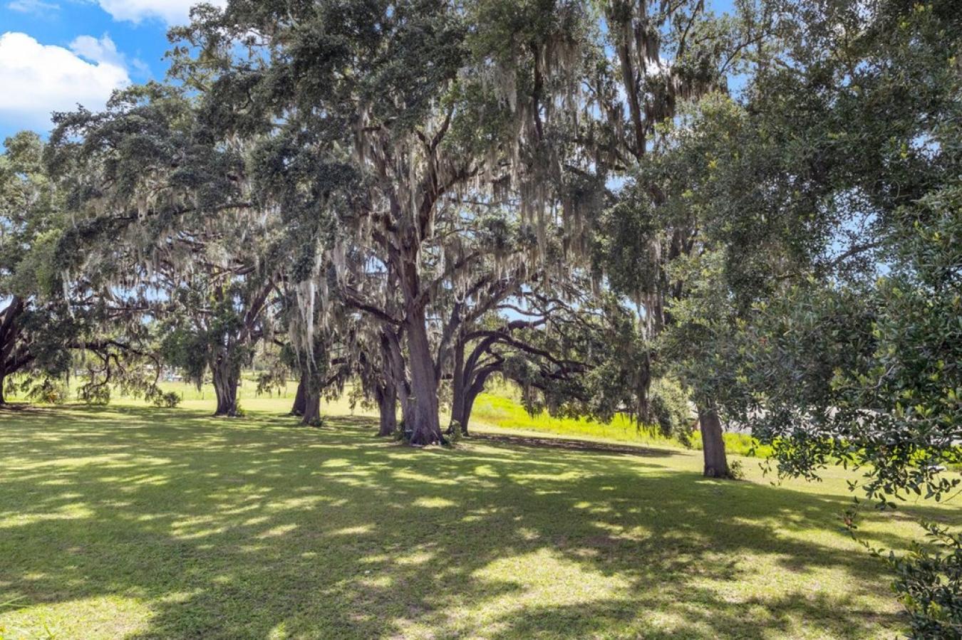 Morriston, Levy, 32668, United States, 5 Bedrooms Bedrooms, ,2 BathroomsBathrooms,Residential,For Sale,1952383