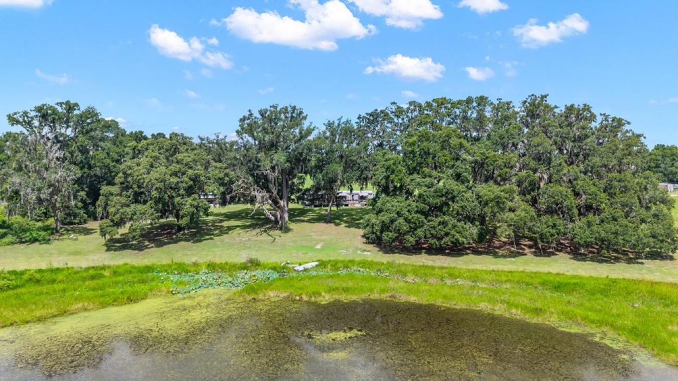 Morriston, Levy, 32668, United States, 5 Bedrooms Bedrooms, ,2 BathroomsBathrooms,Residential,For Sale,1952383