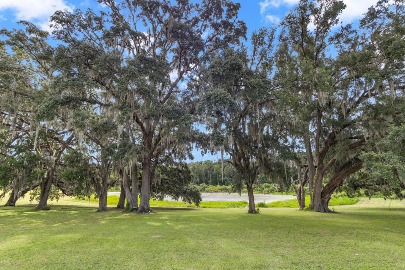 Morriston, Levy, 32668, United States, 5 Bedrooms Bedrooms, ,2 BathroomsBathrooms,Residential,For Sale,1952383