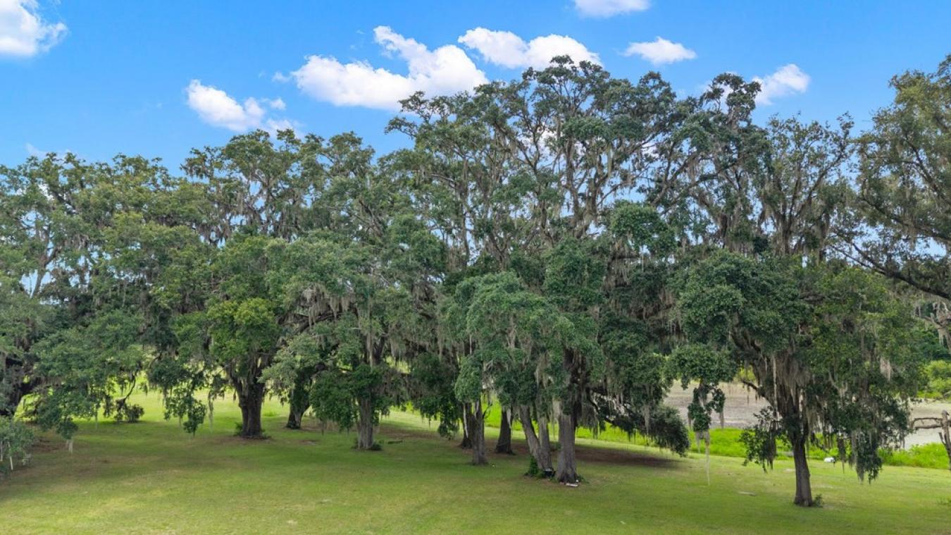 Morriston, Levy, 32668, United States, 5 Bedrooms Bedrooms, ,2 BathroomsBathrooms,Residential,For Sale,1952383