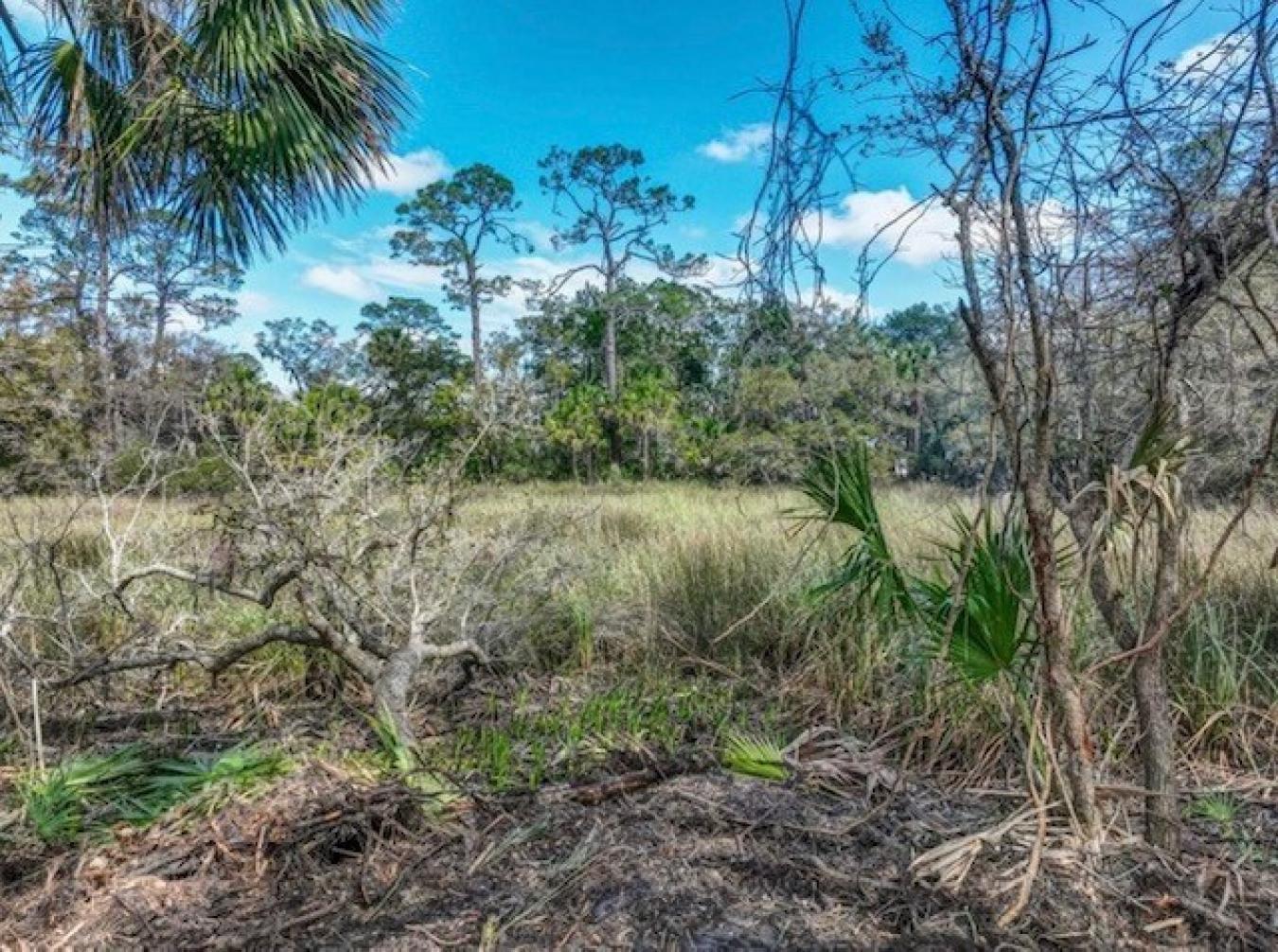 Steinhatchee, Taylor, 32359, United States, ,Residential,For Sale,1952382