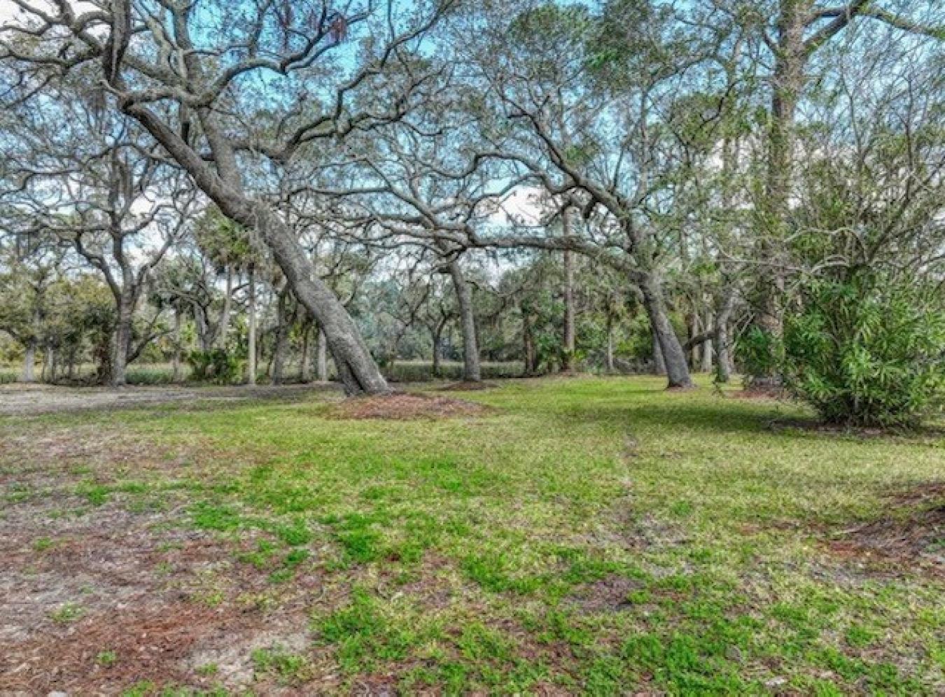 Steinhatchee, Taylor, 32359, United States, ,Residential,For Sale,1952382