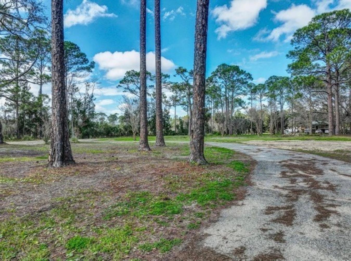 Steinhatchee, Taylor, 32359, United States, ,Residential,For Sale,1952382