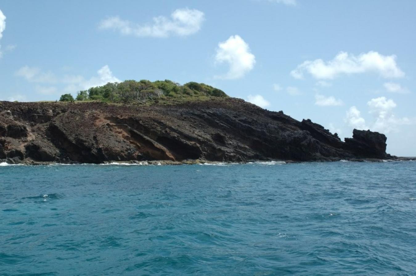 Petite Nevis, St. Vincent & Grenadines, ,Residential,For Sale,1953554