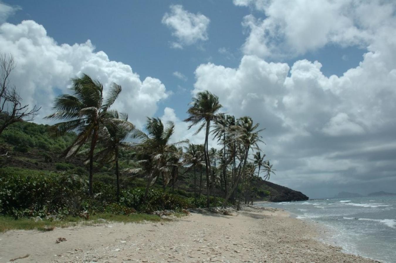 Petite Nevis, St. Vincent & Grenadines, ,Residential,For Sale,1953554