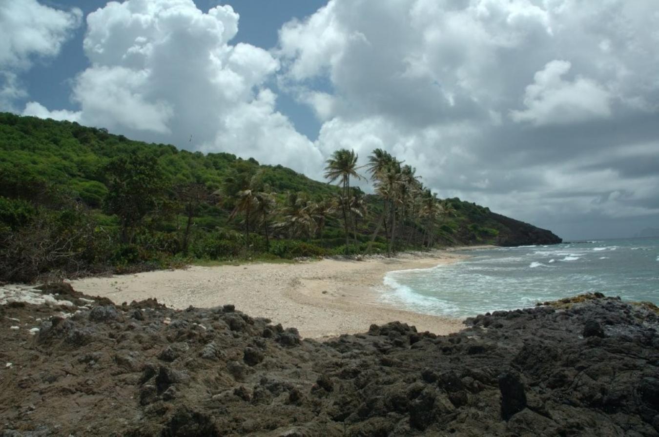 Petite Nevis, St. Vincent & Grenadines, ,Residential,For Sale,1953554