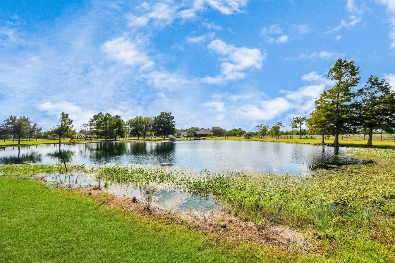 Rosharon, Brazoria, 77583, United States, 3 Bedrooms Bedrooms, ,2 BathroomsBathrooms,Residential,For Sale,1962118