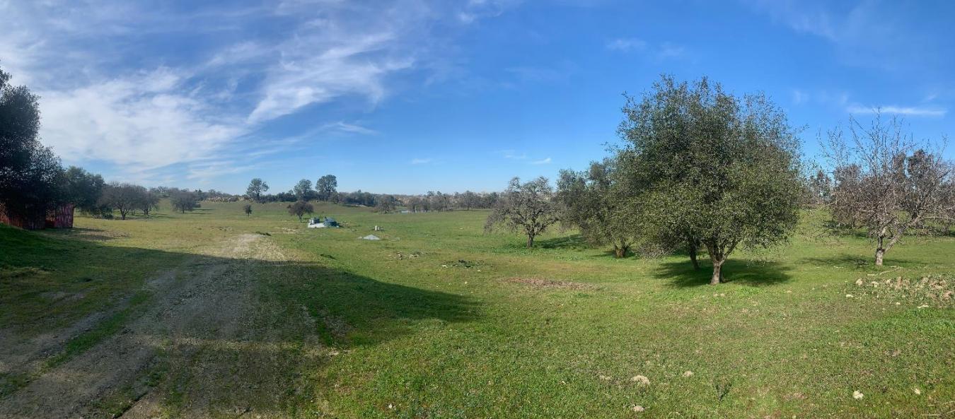 Wallace, Calaveras, 95354, United States, 3 Bedrooms Bedrooms, ,2 BathroomsBathrooms,Residential,For Sale,1954344